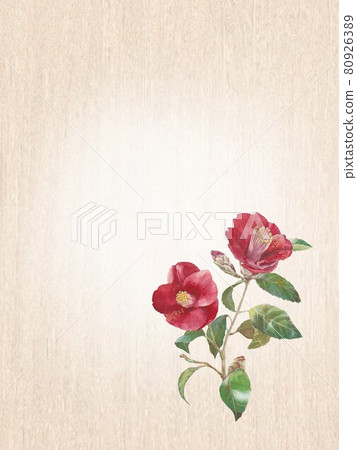 Postcard with an illustration of sasanqua flowers in the lower right Postcard with an illustration of sasanqua flowers in the lower right 80926389