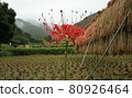 Higantic flower · marlin 80926464