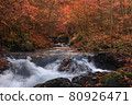 Fall of a mountain stream 80926471