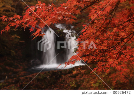 Fall of a mountain stream Fall of a mountain stream 80926472