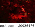 Autumn leaves 80926476