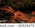 Autumn leaves 80926478