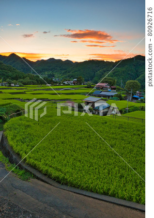 黃昏的富岡梯田 黃昏的富岡梯田 80926716