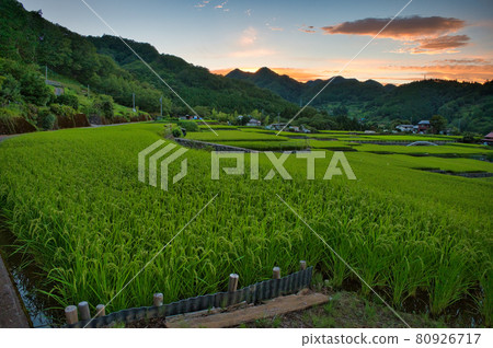 黃昏的富岡梯田 黃昏的富岡梯田 80926717