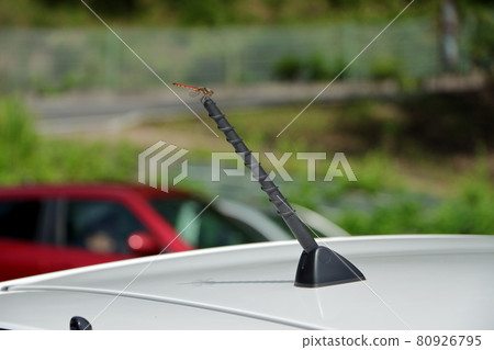 位於汽車天線尖端的對稱頻率 位於汽車天線尖端的對稱頻率 80926795