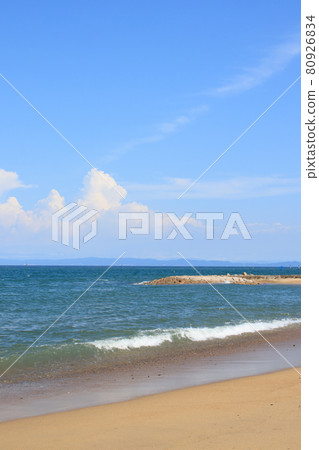 夏季的淡路島海岸[兵庫縣] 80926834