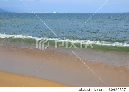 夏季的淡路島海岸[兵庫縣] 80926837