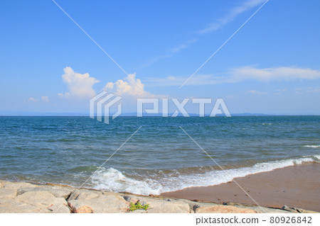夏季的淡路島海岸[兵庫縣] 80926842