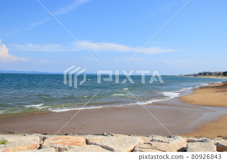 夏季的淡路島海岸[兵庫縣] 80926843