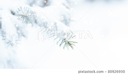 Christmas tree background outdoor with snow, lights bokeh around, and snow falling, Christmas atmosphere Christmas tree background outdoor with snow, lights bokeh around, and snow falling, Christmas atmosphere 80926930