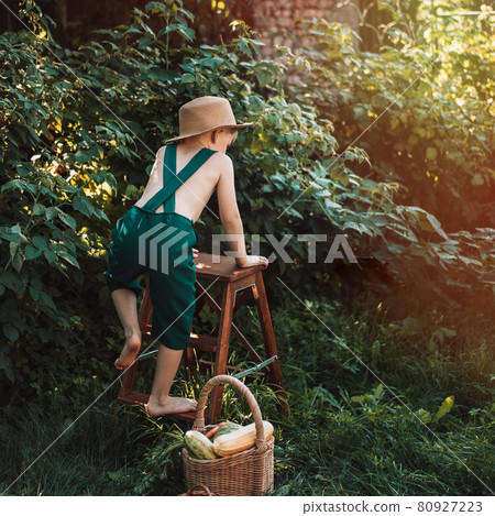 Little farmer in green overalls, standing in garden with happy face, in straw hat Little farmer in green overalls, standing in garden with happy face, in straw hat 80927223