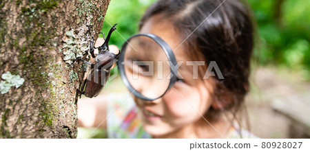A girl observing a beetle with a magnifying glass 80928027