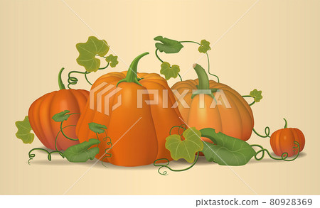 Pumpkins, autumn, pumpkin still life. Vector. 80928369