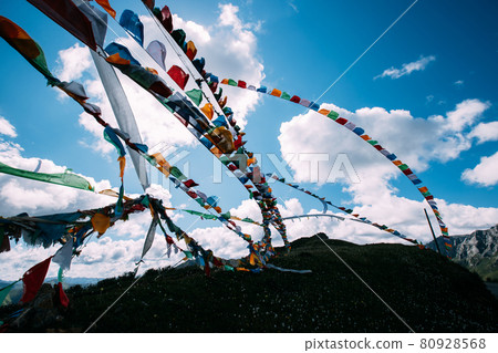 Tibetan prayer flags on grassland 80928568