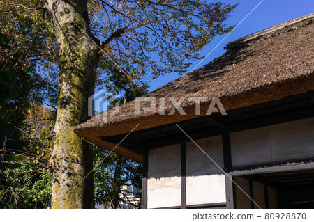 世田谷代官屋敷 大場代官敷 80928870