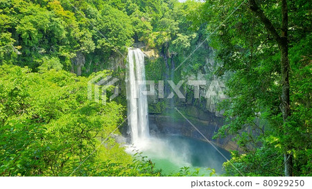 Gorogataki Gorogataki 80929250