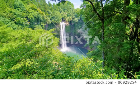 Waterfall and forest 80929254