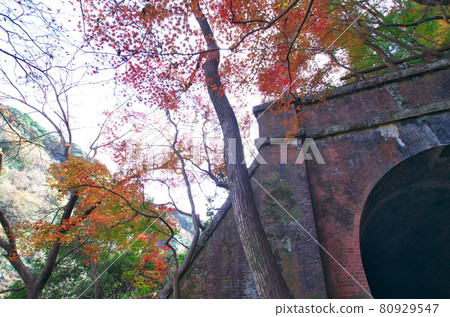 Kasugai City, Aichi Prefecture: Aiki Tunnel in Autumn Leaves (Tunnel No. 4) 80929547