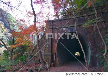 愛知縣春日井市：紅葉中的合木隧道（第4隧道） 80929548