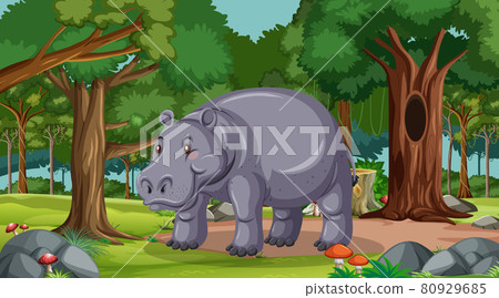 Hippopotamus in forest at daytime scene with many trees Hippopotamus in forest at daytime scene with many trees 80929685
