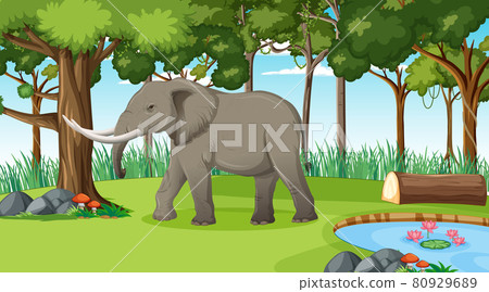 Elephant in forest or rainforest scene with many trees Elephant in forest or rainforest scene with many trees 80929689