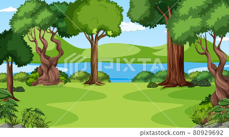 Blank forest at daytime scene with various forest trees 80929692