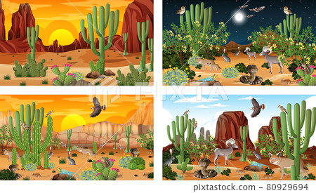 Four different desert forest landscape scenes with animals and plants 80929694
