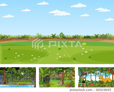 Set of different nature horizontal scene with various wild animals Set of different nature horizontal scene with various wild animals 80929695