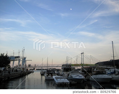 Toronto Harbourfront Magic Hour 80929766