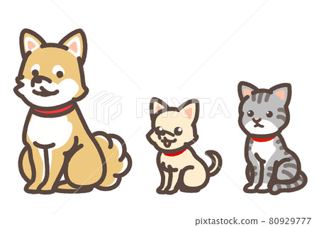 Dog cat set 80929777