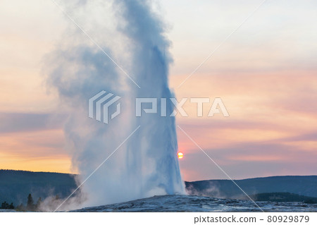 Geyser in Yellowstone 80929879