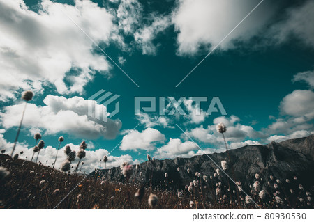Beautiful landscape on high altitude moutnains Beautiful landscape on high altitude moutnains 80930530