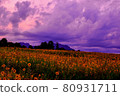 Sunset and sunflower field [Lake Nyu, Tomioka City, Gunma Prefecture] version-03 80931711