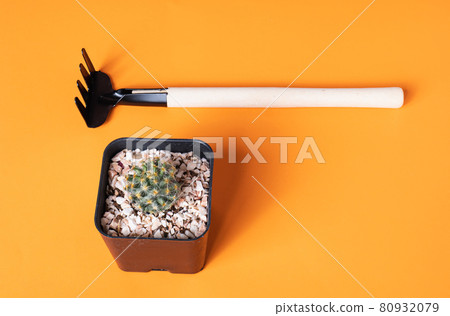Three replica planters were photographed against an orange backdrop. with an empty cactus next to it 80932079