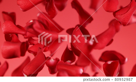 Freeze motion of rose petals flying on red background Freeze motion of rose petals flying on red background 80932987