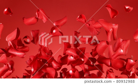 Freeze motion of rose petals flying on red background Freeze motion of rose petals flying on red background 80932988