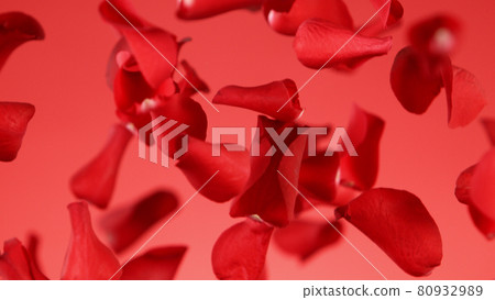 Freeze motion of rose petals flying on red background 80932989