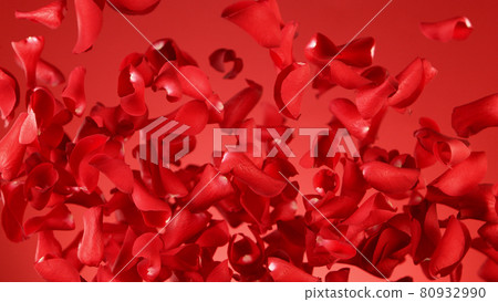 Freeze motion of rose petals flying on red background Freeze motion of rose petals flying on red background 80932990