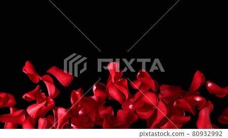 Freeze motion of rose petals flying on black background Freeze motion of rose petals flying on black background 80932992