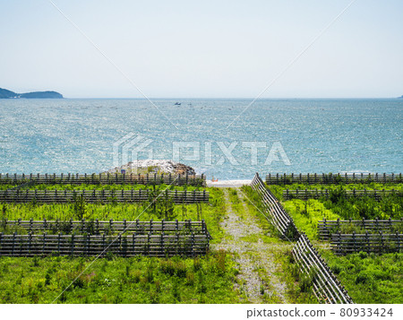 Summer blue sky and scenery of Rikuzentakata Summer blue sky and scenery of Rikuzentakata 80933424