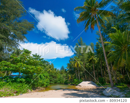啤酒附近的一個小池塘(泰王國攀牙府考拉克) 啤酒附近的一個小池塘(泰王國攀牙府考拉克) 80934120