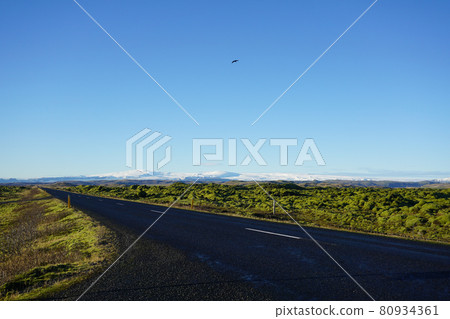 Route 1 and Vatnajokull, Skaftafell, Iceland 80934361