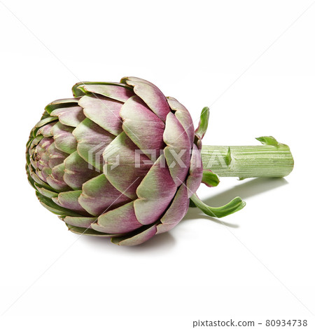 Fresh purple artichoke isolated on white background Fresh purple artichoke isolated on white background 80934738