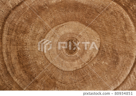 Wooden detailed texture of cut tree trunk cross-section or stump. Brown surface of concentric tree rings. Wooden detailed texture of cut tree trunk cross-section or stump. Brown surface of concentric tree rings. 80934851