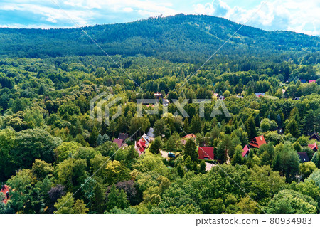 Mountain village with forests, bird eye view 80934983