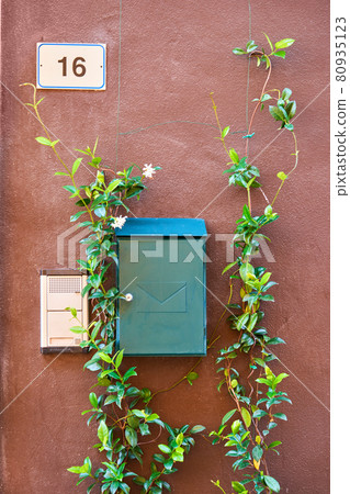 Metal letter box on wall of italian house decorated by climbing plant Metal letter box on wall of italian house decorated by climbing plant 80935123