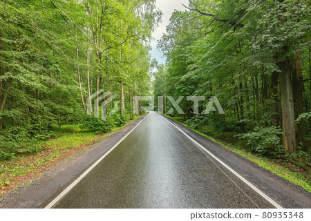 Wet asphalt road in the forest. Wet asphalt road in the forest. 80935348