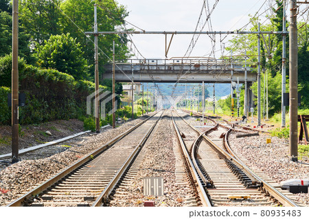 Railway station in green natural landscape. Industrial scene with railroad. Railway junction, platform. Transportation Railway station in green natural landscape. Industrial scene with railroad. Railway junction, platform. Transportation 80935483
