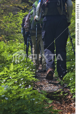 初夏的上高地徒步旅行 80935541