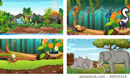 Four different nature horizontal scene 80935916